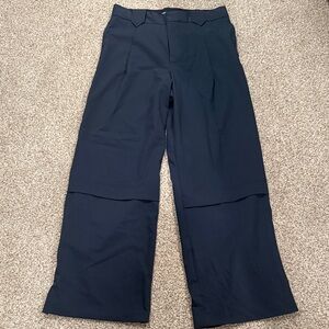 Zara Midnight Blue Pants
